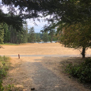 Meet your Posher, Albert